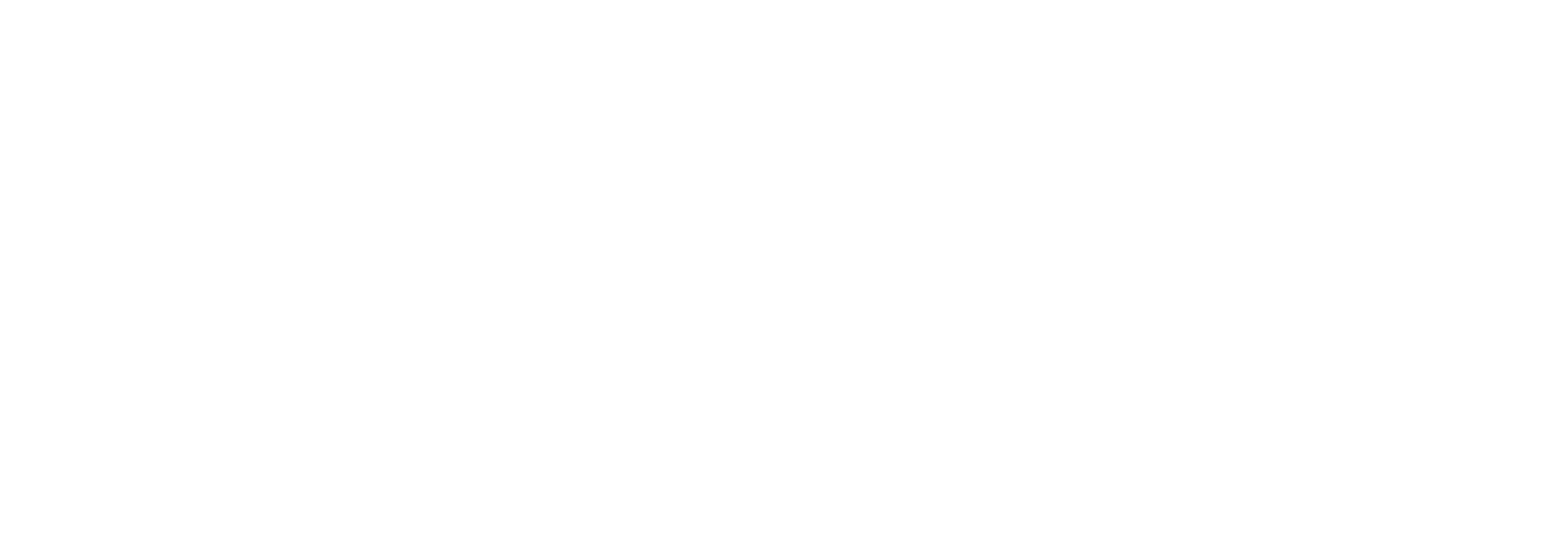 Voyzant API